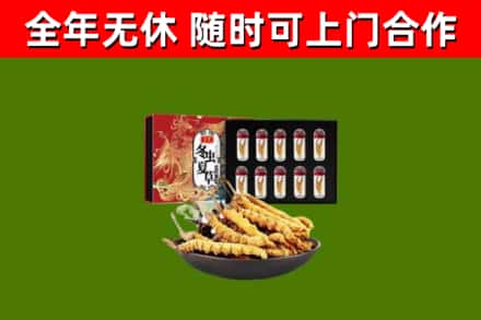 辽源市回收冬虫夏草价格